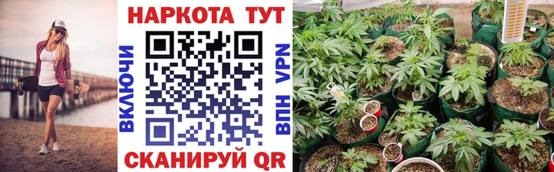 Сколько стоит Кандалакша Галлюциногенные грибы  Меф  СК  Конопля  ГАШИШ  COCAIN 