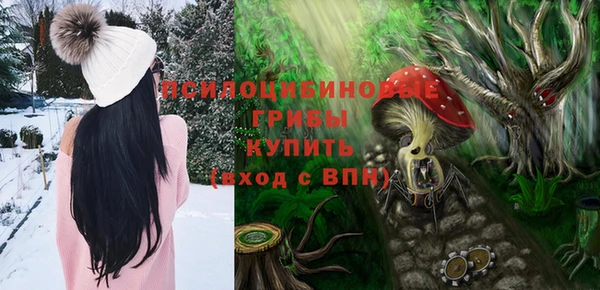 не бодяженный Арсеньев